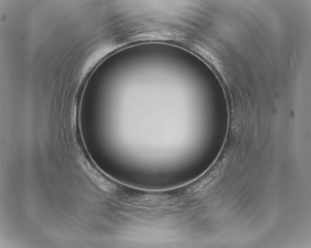 X0000088661179200706081655