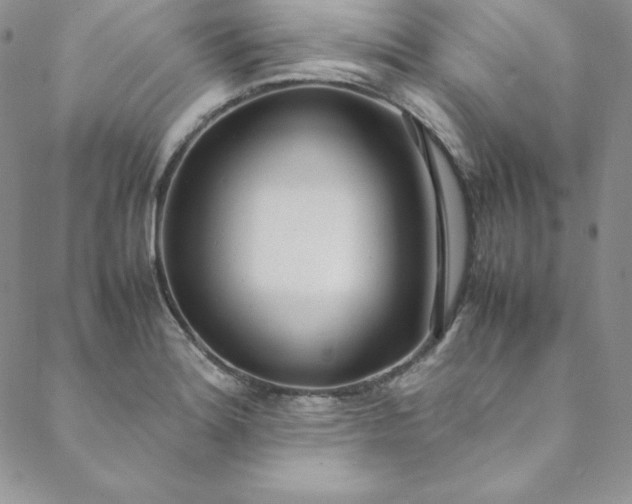 X0000088661180200706081655