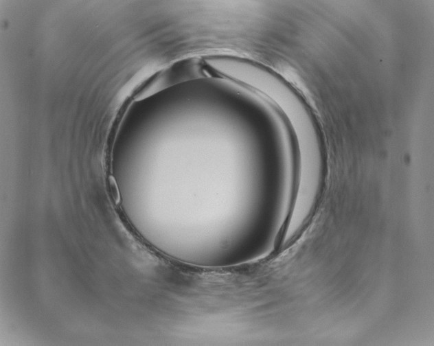 X0000088661181200706081655