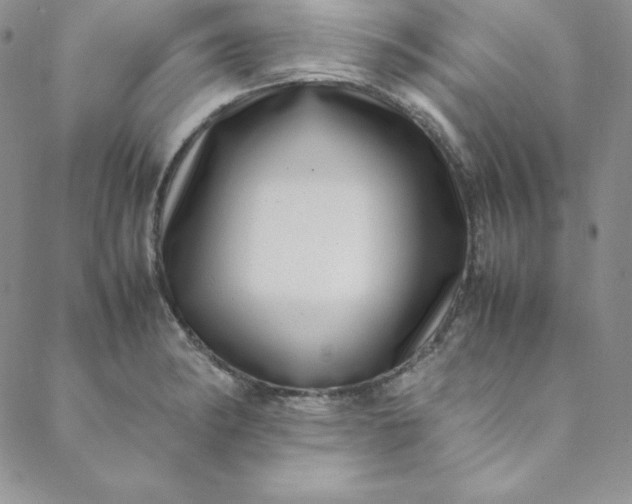 X0000088661182200706081655