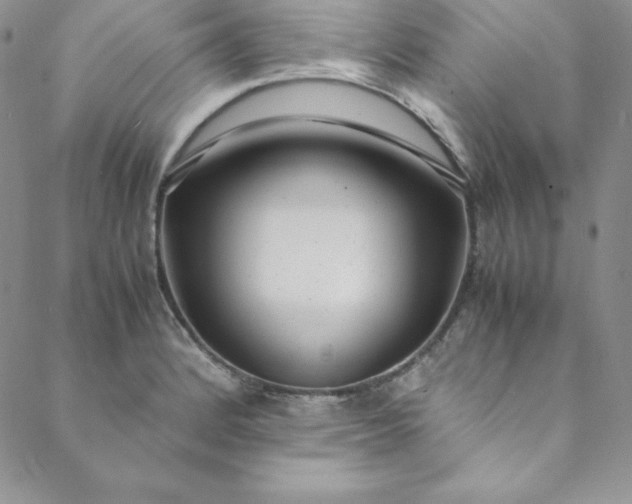 X0000088661184200706081655