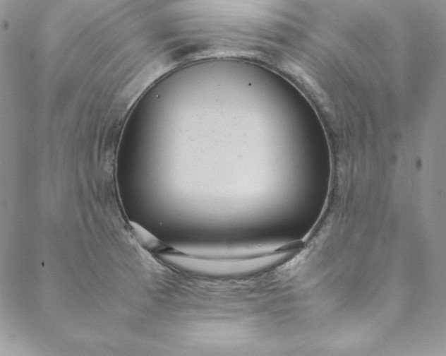 X0000088661185200706081655