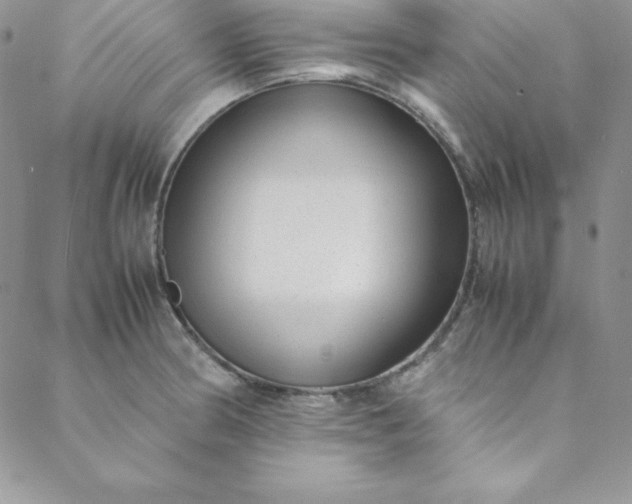 X0000088661186200706081655