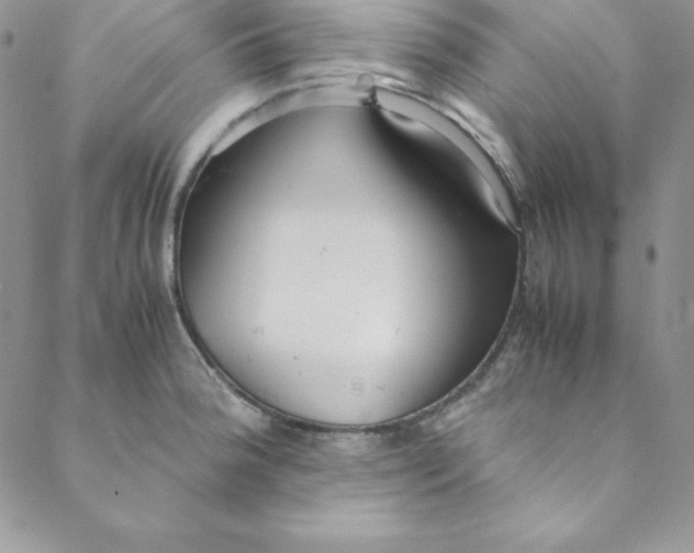 X0000088661188200706081655