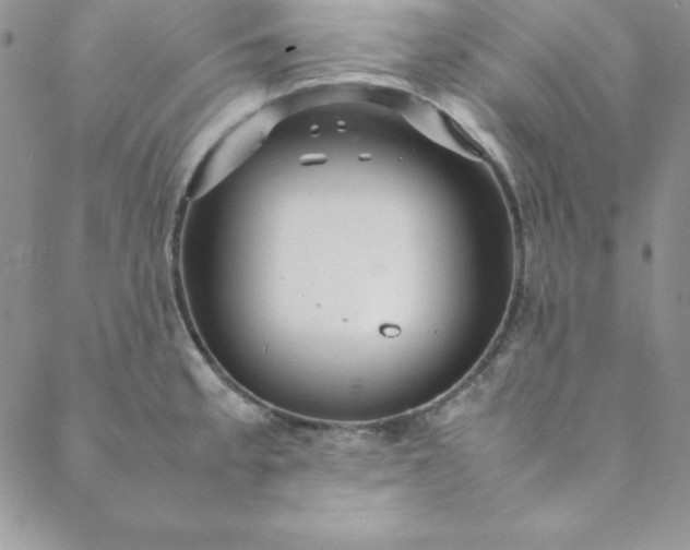 X0000088661189200706081655