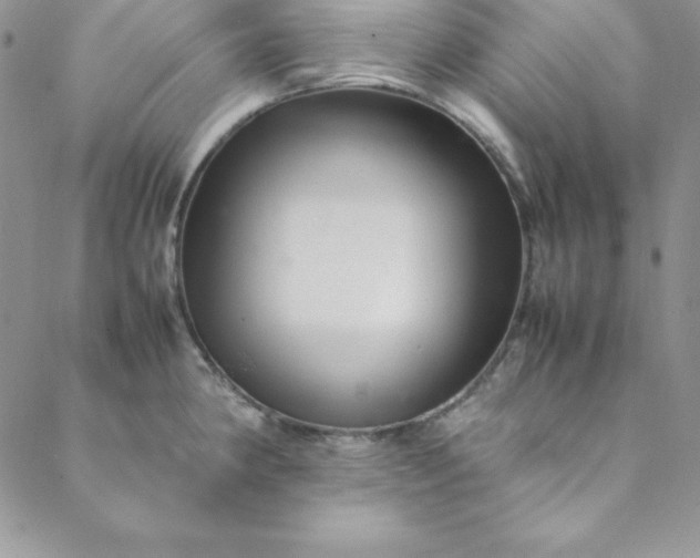 X0000088661190200706081655