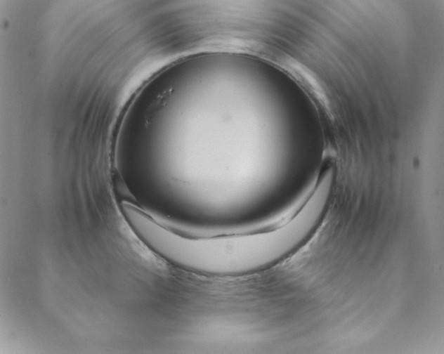 X0000088661192200706081655