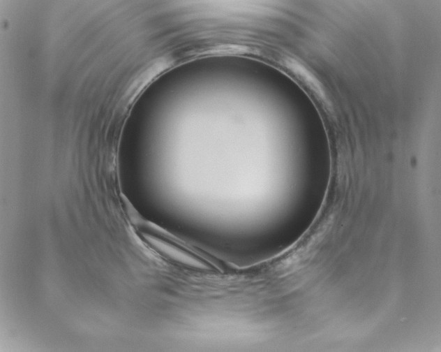 X0000088661193200706081655