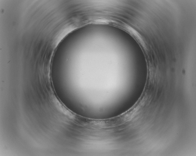 X0000088661194200706081655