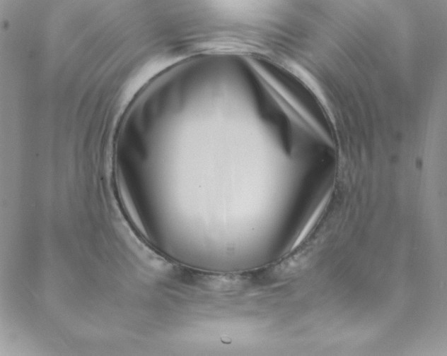 X0000088661195200706081655