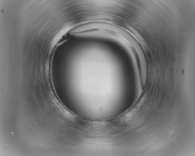 X0000088661196200706081655