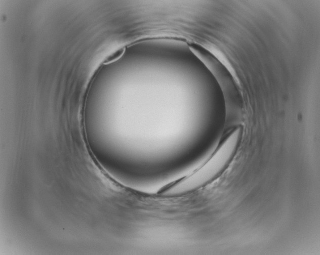 X0000088661197200706081655