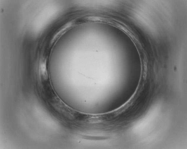 X0000088661198200706081655