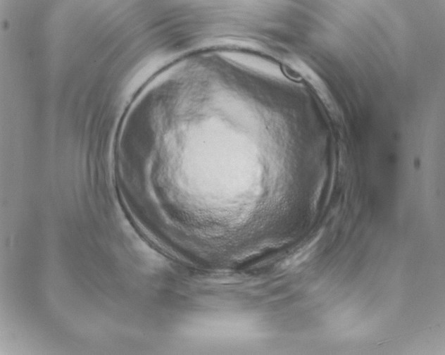 X0000088661199200706081655