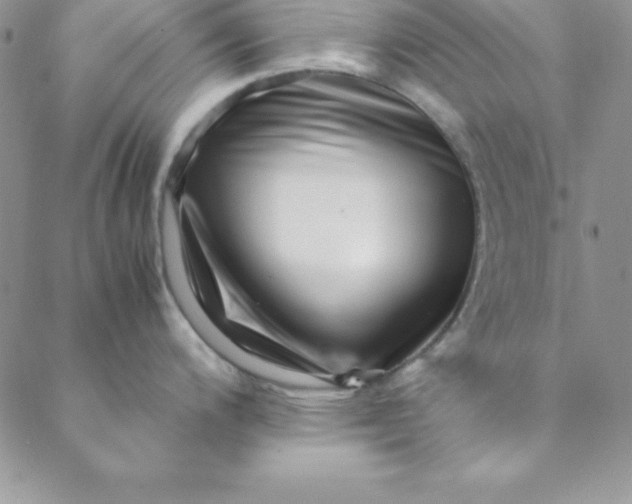 X0000088661200200706081655