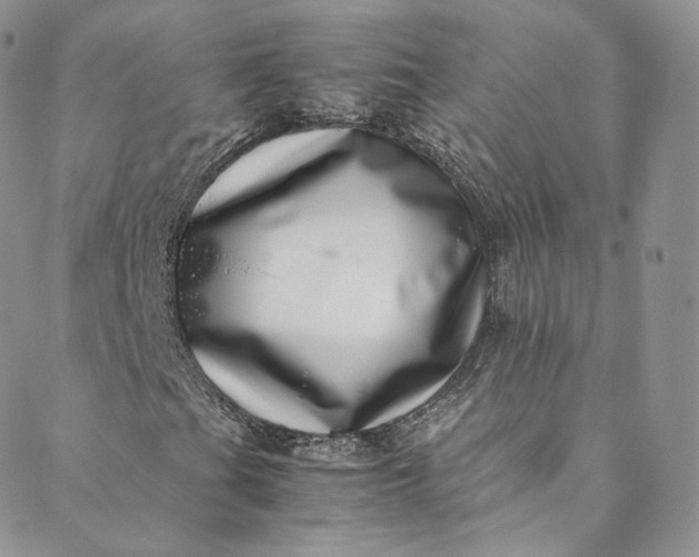 X0000088661201200706081654