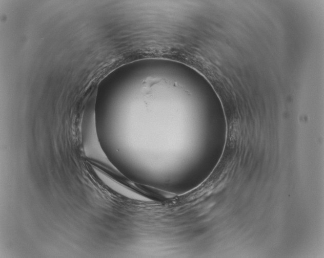 X0000088661202200706081654