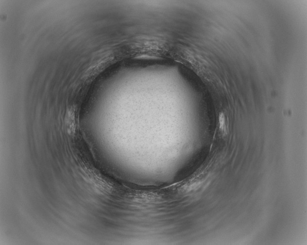 X0000088661203200706081654