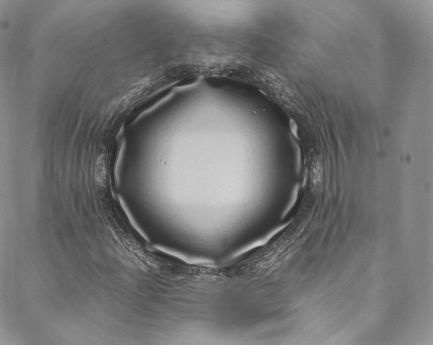 X0000088661204200706081654