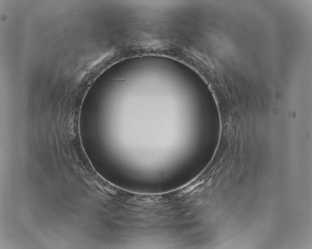 X0000088661205200706081654