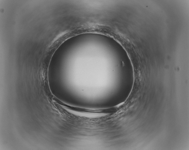 X0000088661206200706081654