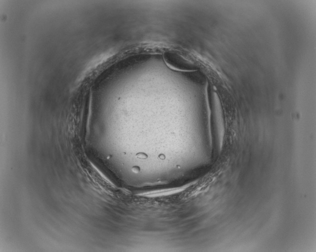 X0000088661207200706081654