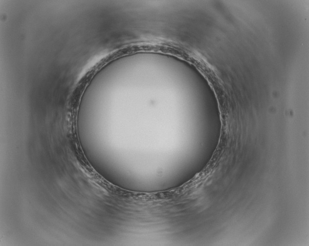 X0000088661208200706081654