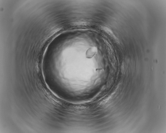 X0000088661209200706081654