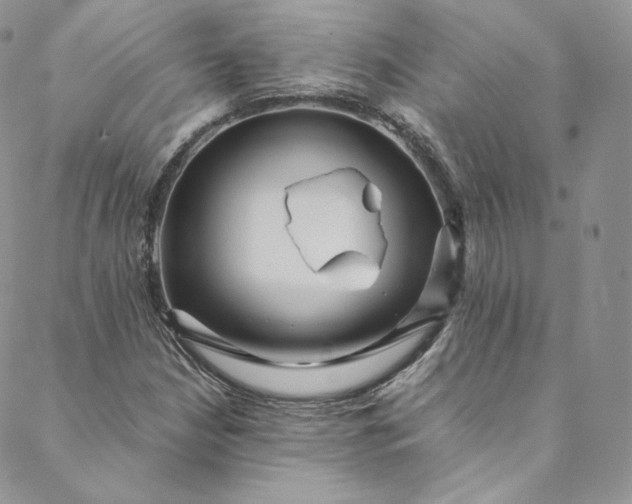 X0000088661210200706081654