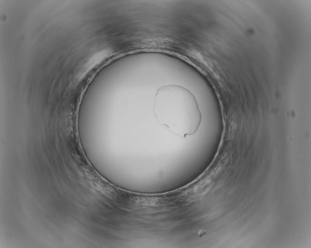 X0000088661211200706081654