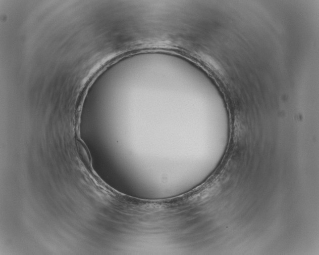 X0000088661212200706081654