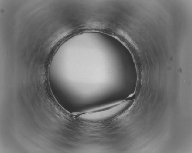 X0000088661213200706081654