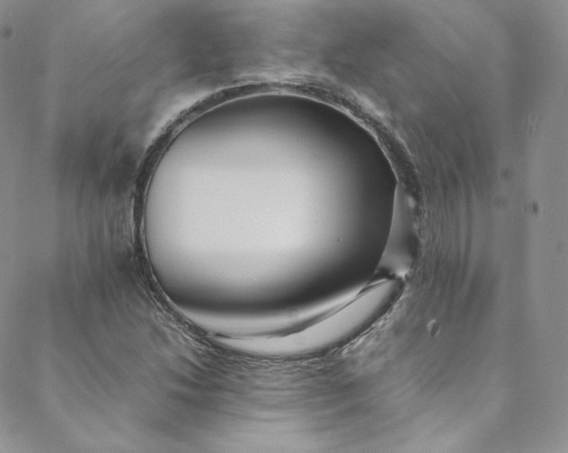 X0000088661214200706081654