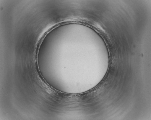 X0000088661216200706081654