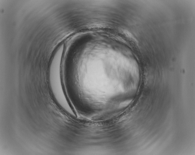 X0000088661217200706081654