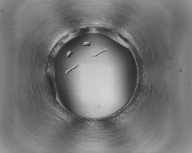 X0000088661218200706081654