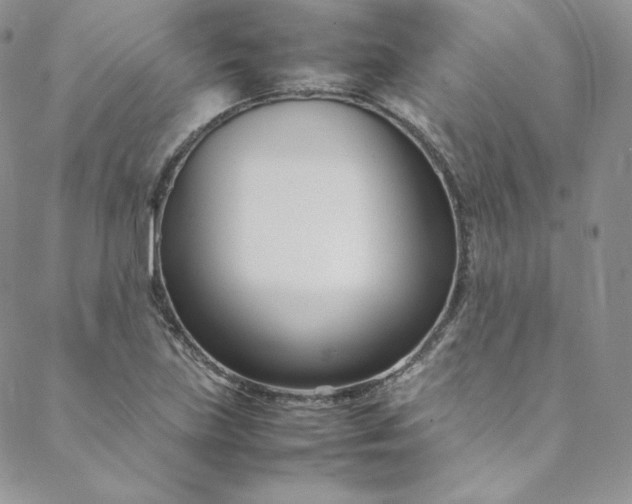 X0000088661219200706081654