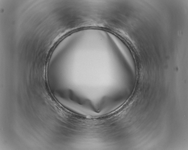 X0000088661220200706081654