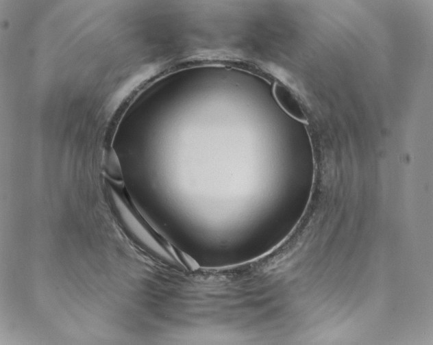 X0000088661221200706081654