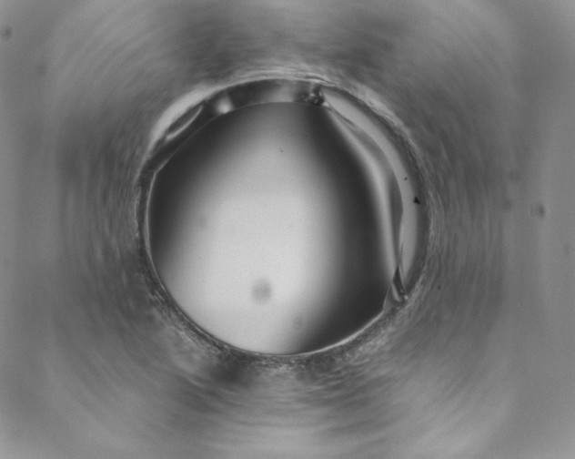 X0000088661222200706081654