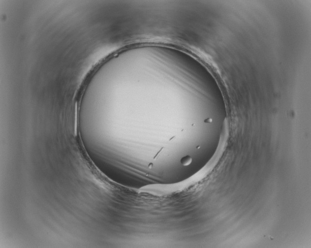 X0000088661223200706081654