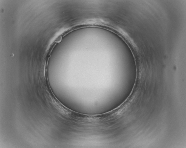 X0000088661224200706081654