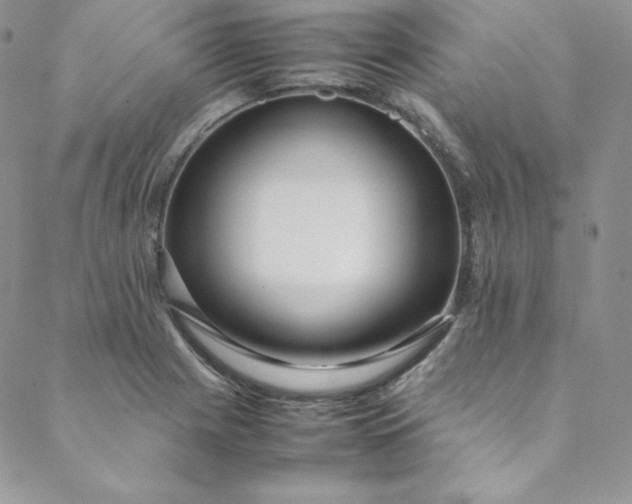 X0000088661225200706081654