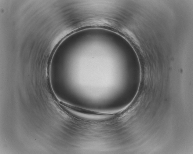 X0000088661226200706081654