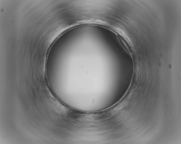 X0000088661228200706081654