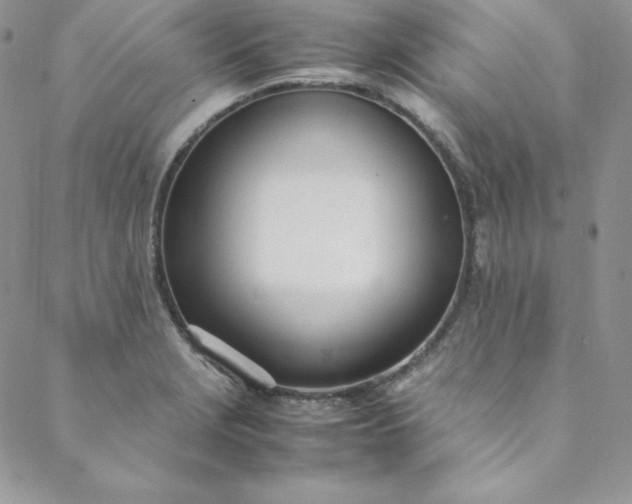 X0000088661229200706081654