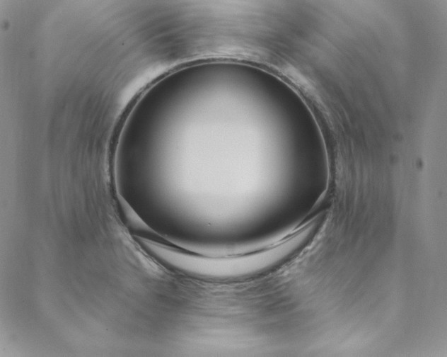 X0000088661230200706081654