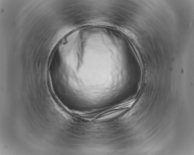 X0000088661231200706081654