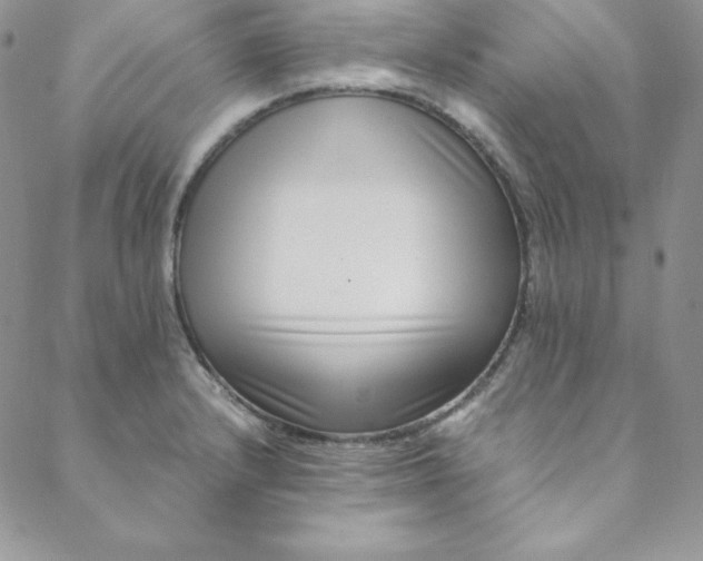 X0000088661232200706081654