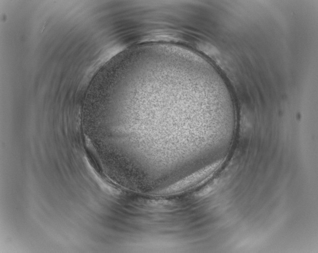 X0000088661233200706081654